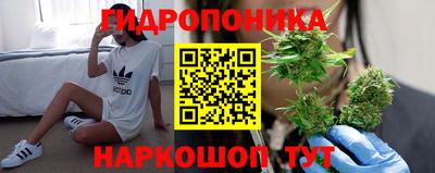 спиды Ставрополь